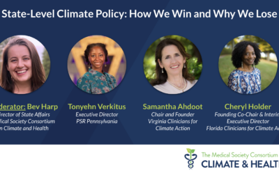 State-Level Climate Policy: How We Win and Why We Lose